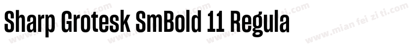 Sharp Grotesk SmBold 11 Regular字体转换